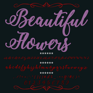 手写的书法字体命名美丽的花朵字体，脚本，旧样式复古