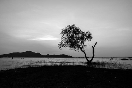 黑色和白色风景树山背景浜泰国春武里水库拉差帕在水中的
