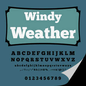 脚本字体有风的天气老式脚本矢量字体标签和任何类型的设计