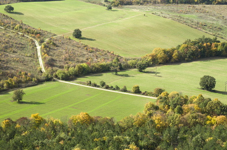 鸟瞰图的田野和森林在秋天
