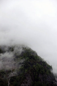 雾云上升从黑暗的高寒山区森林