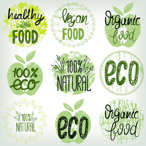设置健康食品 生态食品 有机食品，100天然。手工绘制纹理模板