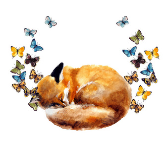 水彩狐狸用白色背景上的蝴蝶照片