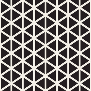 时尚简约三角形形状线网格.矢量无缝黑色和白色花纹照片