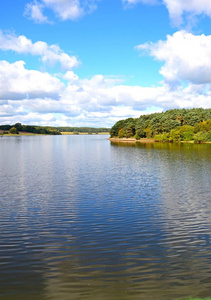 查看整个 Blithfield 水库对树木和田野，Blithbury，英国