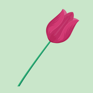 老式的粉红色郁金香花可以用作贺卡邀请卡婚礼生日和其他假期夏季天然植物矢量图
