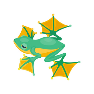 青蛙搞笑卡通动物卡通热带绿自然图标和孤立吉祥物字符有趣森林野生蟾蜍两栖动物矢量图