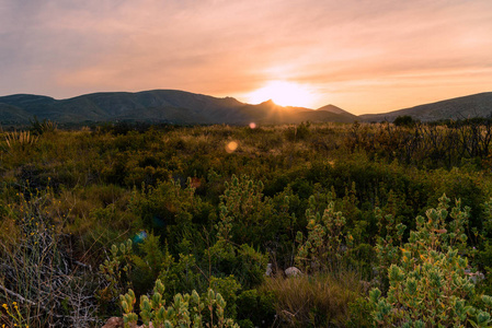 夕阳在山风景