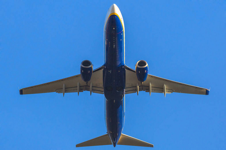 起飞的翅膀图片