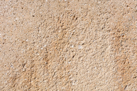 砂岩纹理与化石图片