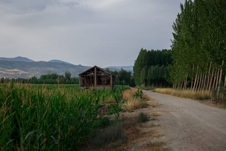 道路和种植园的看法, 背景是一个小屋