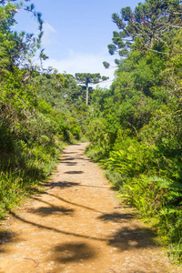 在 Itaimbezinho 峡谷雷