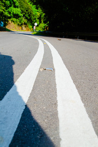 热带森林中带有反射器的空旷道路