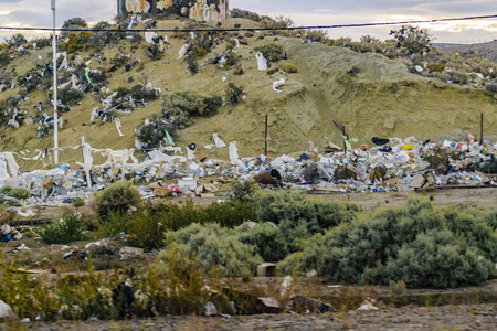 在巴塔哥尼亚风景圣克鲁斯的垃圾阿根廷
