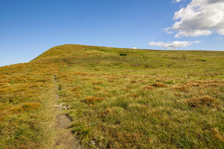 在阳光明媚的夏日的喀尔巴阡山脉全景