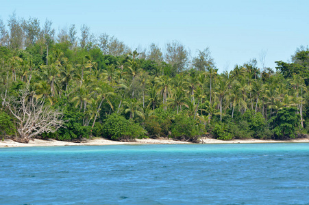 斐济纳努亚莱武岛一个偏远热带海滩的景观