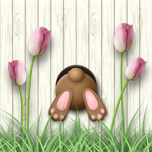 复活节的动机，兔子底部，粉红色的郁金香和鲜草白色木制背景，图上