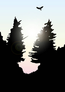 矢量山和森林景观格局早在日落