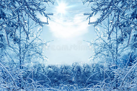冬季背景，前景是冰树枝
