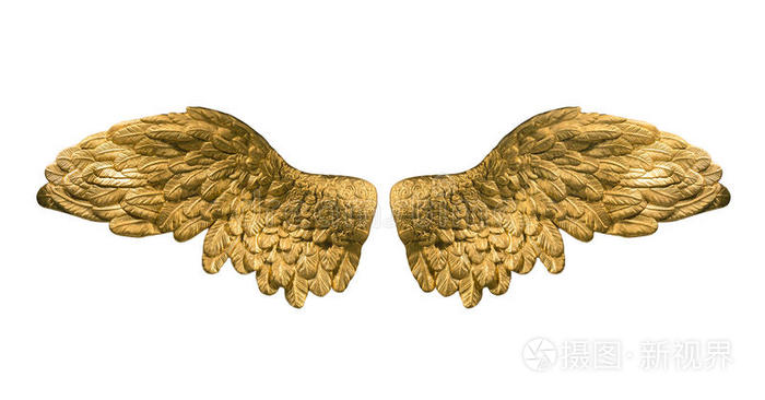 金色的翅膀