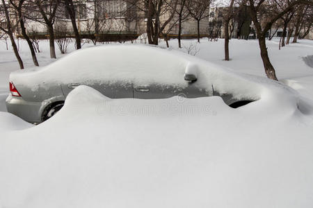 被雪覆盖的汽车