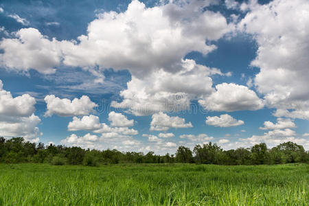 绿地景观云景图片