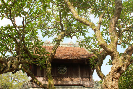 亚洲建筑屋顶寺