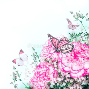 粉红玫瑰和蝴蝶