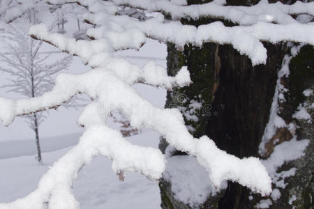 冬天的小路上全是雪