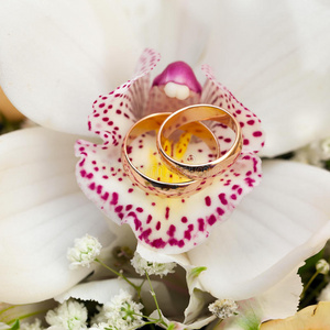 新郎新娘的结婚戒指