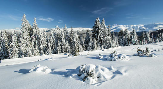 冬季高山雪山