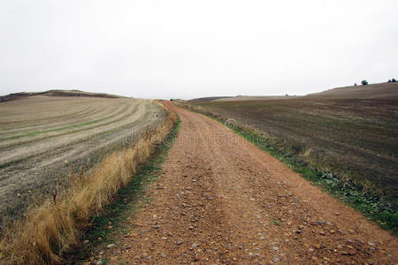 乡村公路