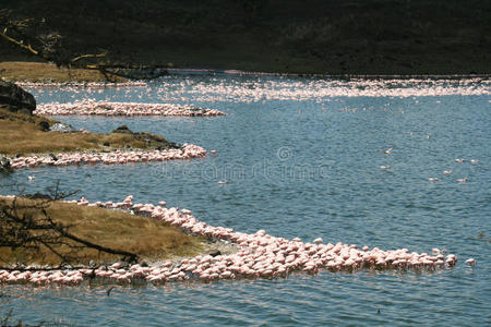 莫米拉湖