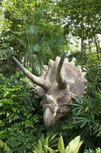 森林中的侏罗纪恐龙三角龙图片