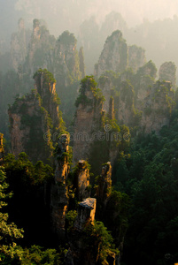 公园 公司 小山 自然 朦胧 薄雾 环境 范围 美女 风景