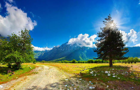 高山草甸美景