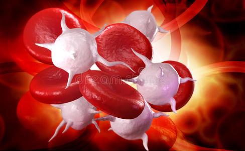 流式血细胞