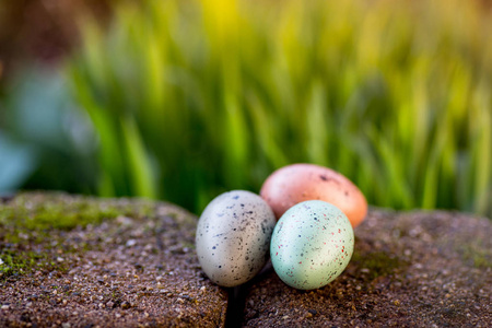 水仙和复活节鸡蛋