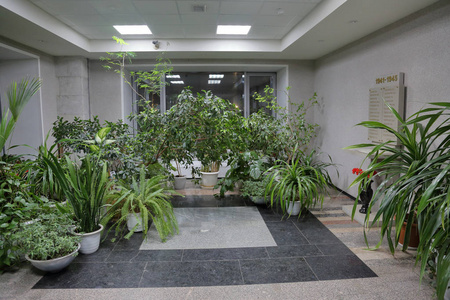 长的走廊与植物