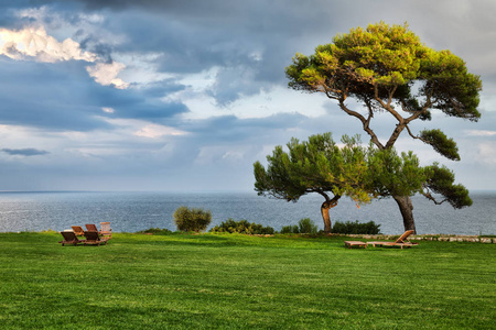 草坪上的躺椅和海景色