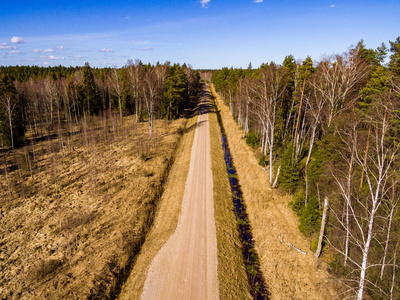 无人机图像。森林道路与农村地区的鸟瞰图
