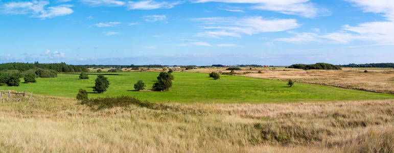 沙丘上岛 Texel，荷兰的全景