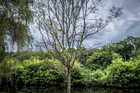 perigord noir 的 vezere 河