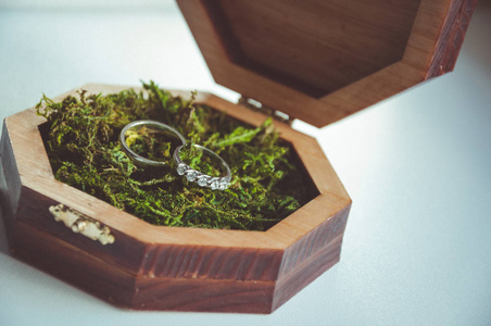 在绿色的青苔上的结婚戒指。仿古婚礼