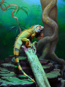 绿鬣蜥 鬣蜥鬣蜥 像一幅画