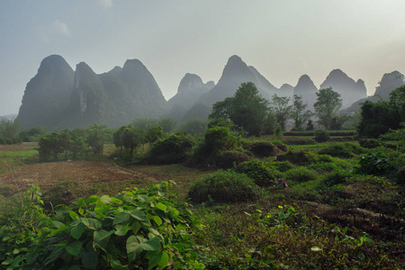 中国名山和雾图片