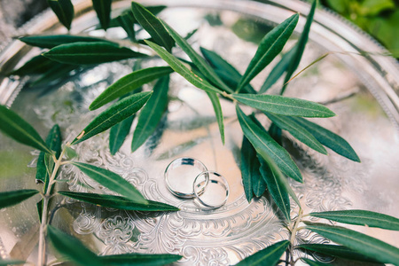 有橄榄枝的银托盘上的结婚戒指。婚礼首饰