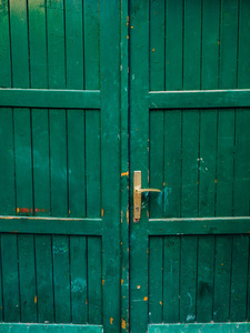 绿色的门。木材的纹理。旧的破旧 辐照漆