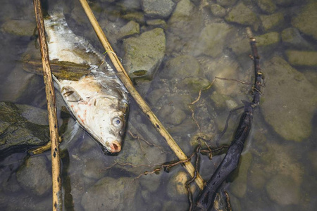 母亲死图片-母亲死素材-母亲死插画-摄图新视界