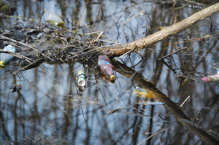垃圾瓶子和水中树木的倒影